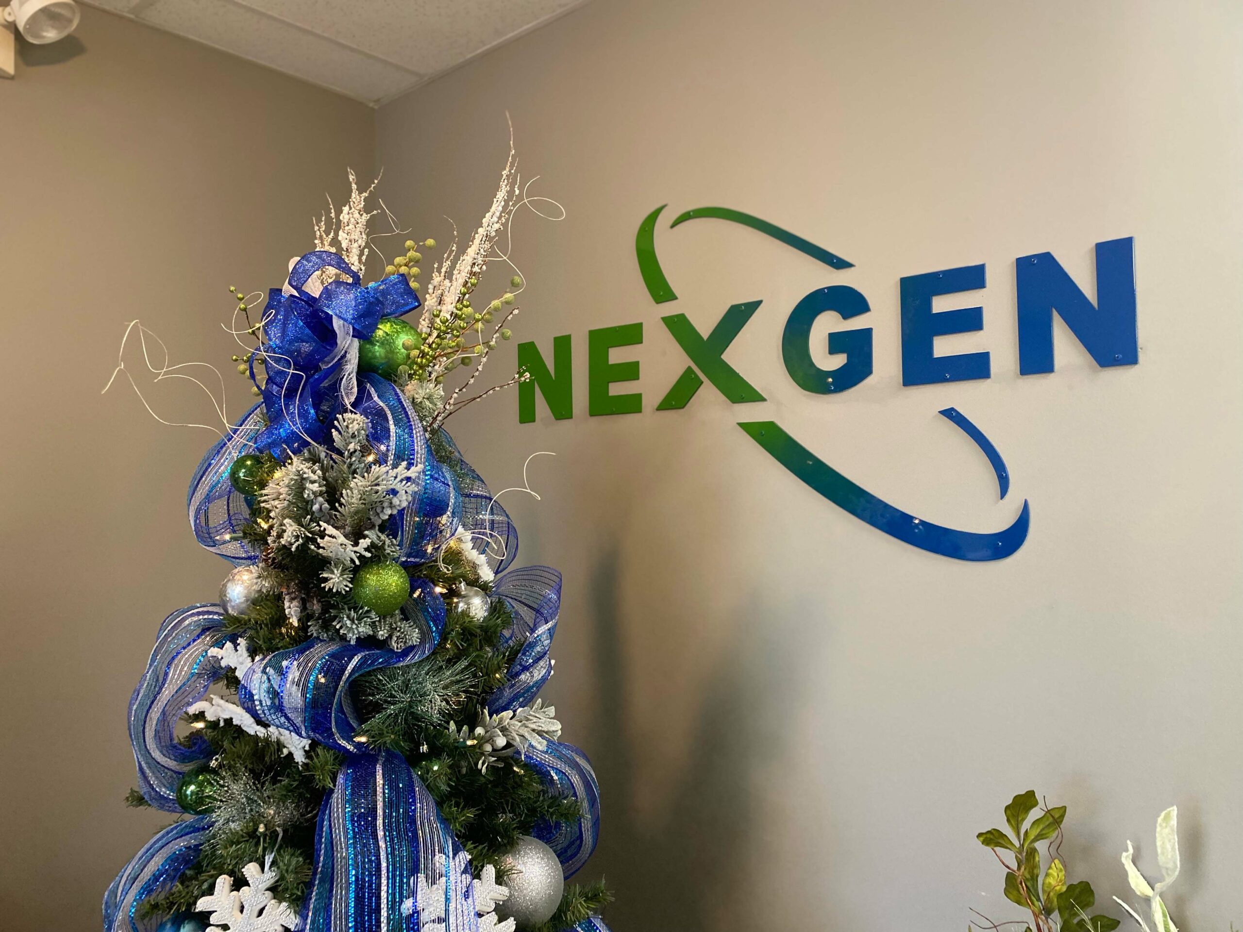 NexGen holiday decorations.